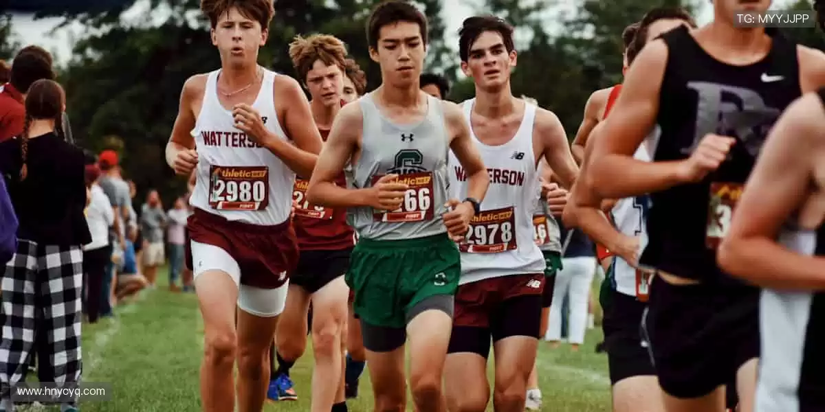 🎁🌟 限量周边,收藏你的热爱!